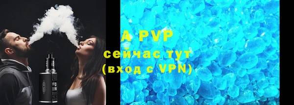 прущие грибы Козельск