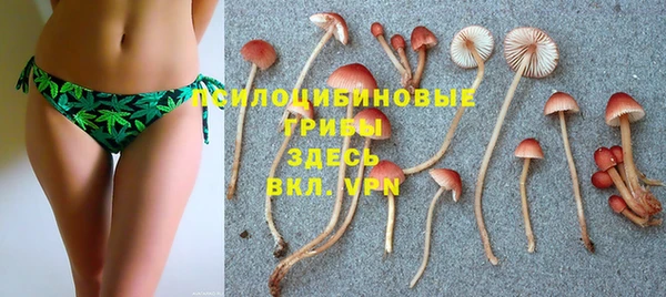 а пвп мука Кодинск
