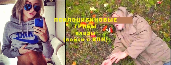 прущие грибы Козельск