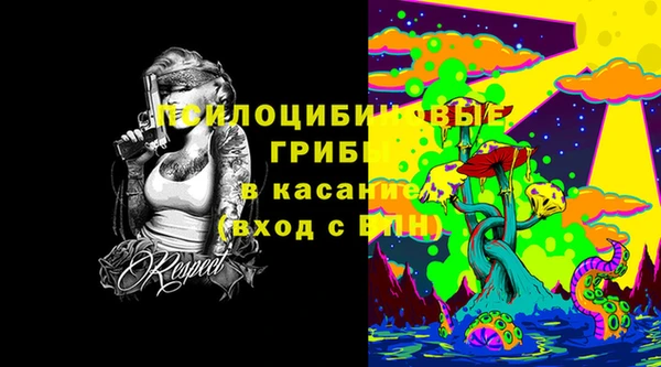 а пвп мука Кодинск