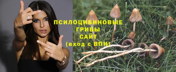 а пвп мука Кодинск