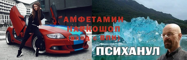 прущие грибы Козельск