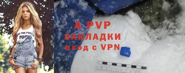 прущие грибы Козельск