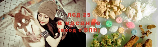 прущие грибы Козельск