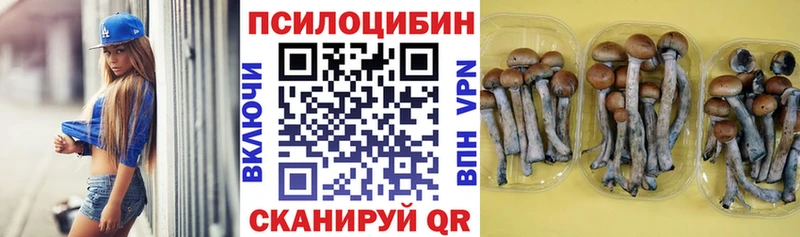 Купить где  Грязи  Галлюциногенные грибы Magic Shrooms 
